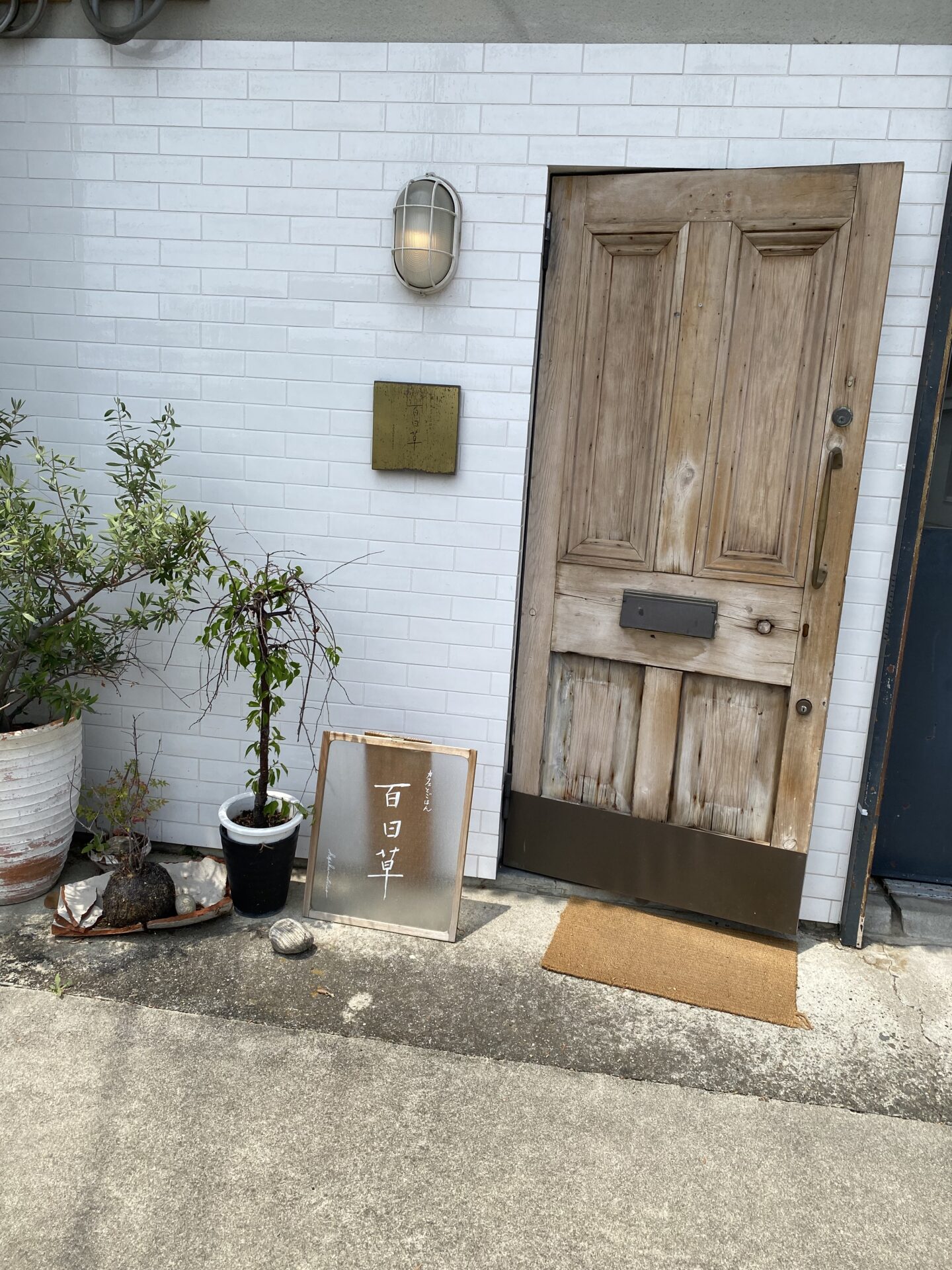 ランチに行ってきました